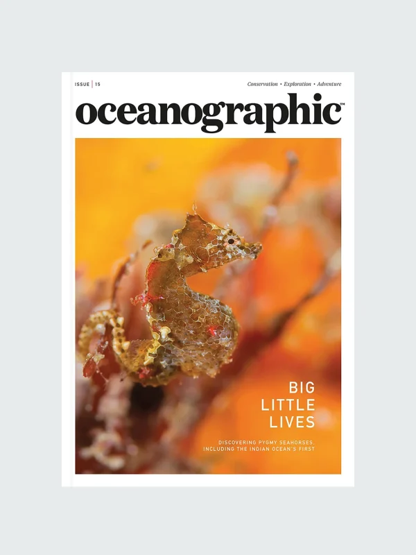 Literature*Finisterre Oceanographic, Issue 15