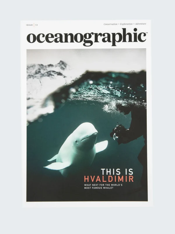 Literature*Finisterre Oceanographic, Issue 13