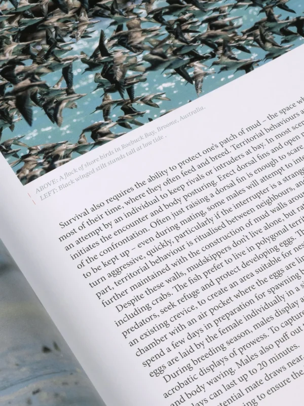 Literature*Finisterre Oceanographic, Issue 24