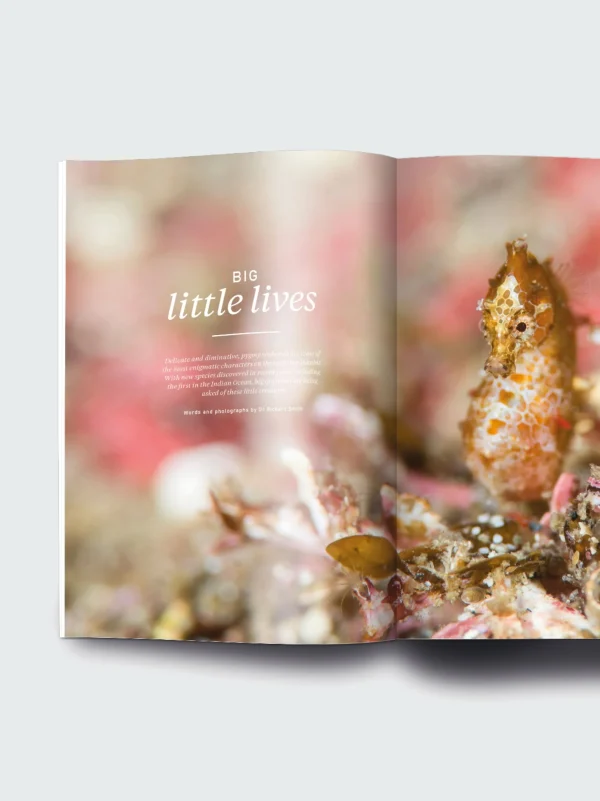 Literature*Finisterre Oceanographic, Issue 15