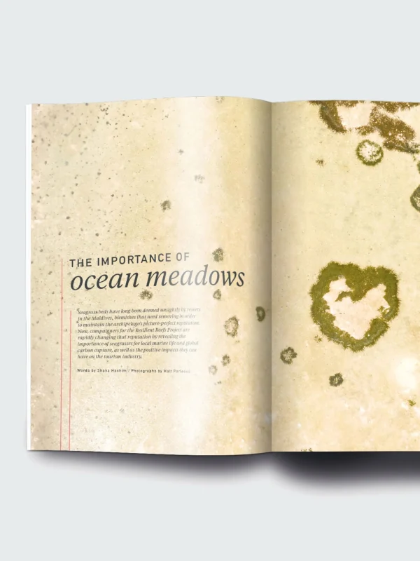 Literature*Finisterre Oceanographic, Issue 14